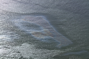 BP oil on surface of Gulf